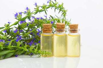 hyssop essential oil in  beautiful bottle on White background