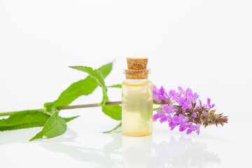 marsh woundwort essential oil in  beautiful bottle on White background