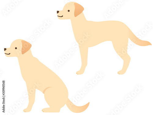 ラブラドール レトリーバーのイラスト 真横向きお座り 立つ Animal Poster Anim Nora Hachio
