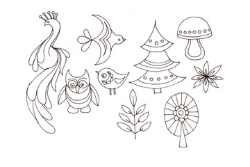 Bird flying doodl. Graphic illustration. Image of a bird.Separate element on a white background. Sketch, retro, vintage style.