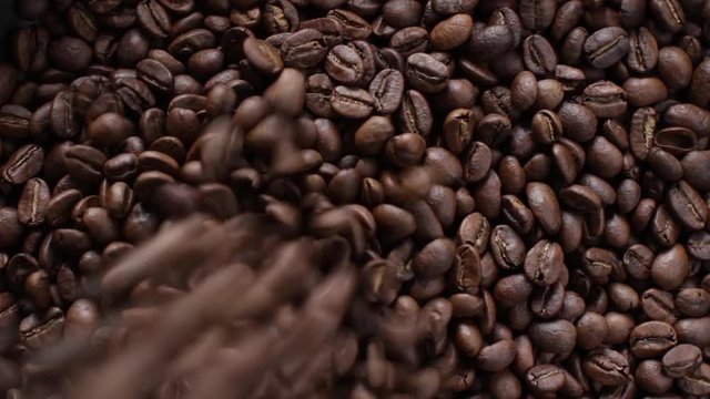 roasted coffee beans background