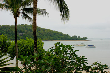 Tropical vegetation on the background of the sea and ships. A cloudy day create an incredible magical atmosphere.