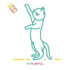 Cat Behavior Icon