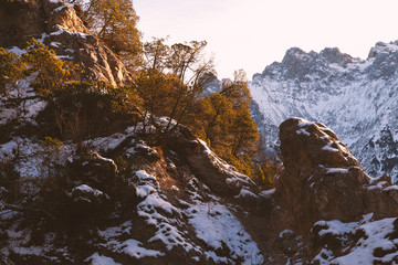 Fototapeta na wymiar Imposantes Gebirgstal mit Kiefern von der Sonne beleuchtet und hohen verschneiten Bergen im Hintergrund