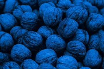 Natural walnut background pattern texture in trendy classic blue color. Abstract walnuts heap pattern background