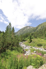 Fototapeta na wymiar Landscape in the Pirin National Park