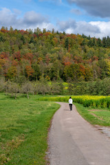 road in the countryside