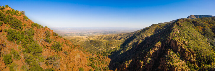 Looking up through the golden leaves of aspen trees in the fall with a deep blue sky in the Coconino National Forest.
