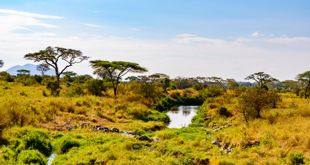 Fototapeta na wymiar River and Lake in beautiful landscape scenery of Serengeti National Park, Tanzania - Safari in Africa