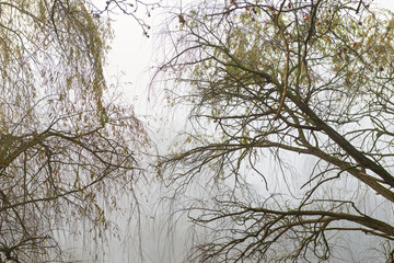 Reflections in mysterious lake