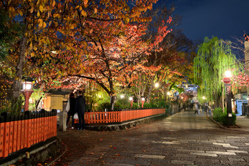 夜の京都白川筋の風景