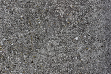 Rough concrete wall texture with lichen for background