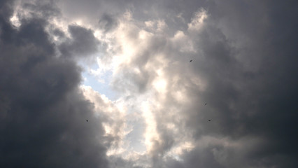 Dramatic sky with rain clouds and highly flying birds in front of storm