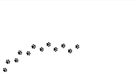 Frame Footprints. Paw prints of an animal on a white background with traces of animals. Cartoon comic funny paws