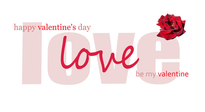 Congratulation on Valentines Day. Illustration with the inscription and a dark red rose in the corner isolated on white background. Design for print cards, banner, poster - Powered by Adobe