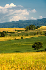 Summer landscape along the road to Camigliatello, Sila