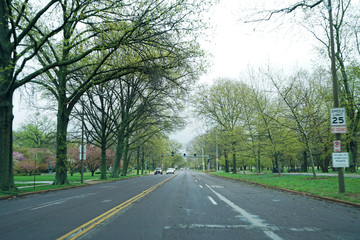 Natural landscape street and footpath among St.Louis forest park- Missouri, United States