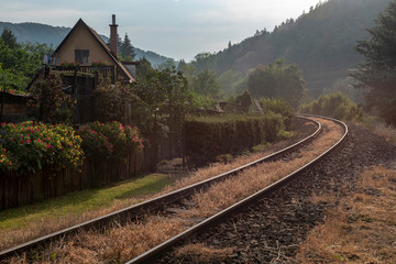 sunset and train tracks in summer