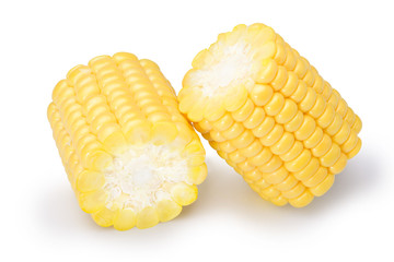 parts of corn with highlights isolate on white, with clipping path