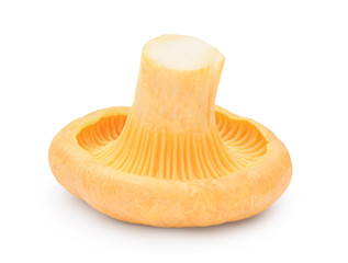Yellow chanterelle isolated on white background