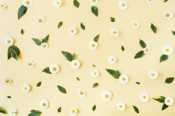 White chamomile daisy flowers pattern on yellow background. Flat lay, top view minimal floral composition.