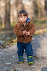 Little boy standing in autumn park