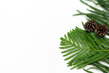 Fototapeta na wymiar Christmas - Pine cones and branches