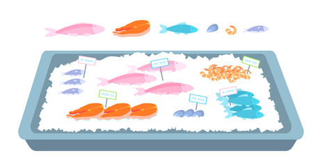 The counter with seafood on ice. Fish, shrimp, mussels, salmon steaks. Vector illustration isolated on white background.
