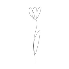 Flower one line drawing, vector illustration