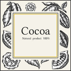 Cocoa bean tree design template. Engraved style illustration. Chocolate cocoa beans. Vector illustration.