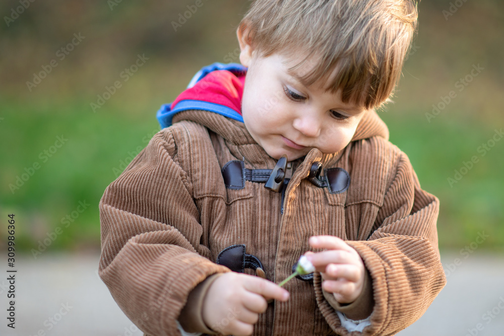 Wall mural little boy standing in autumn park whit daisy