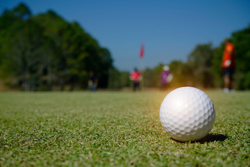 Golf ball on green grass in beautiful golf course