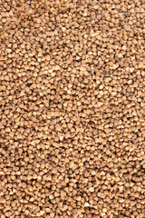 buckwheat full screen pattern  textures