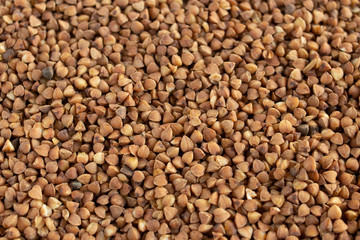 buckwheat full screen pattern  textures
