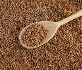 glass jar with buckwheat and a wooden spoon on white isolate background