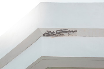 A hornet's nest on the wall of an office building