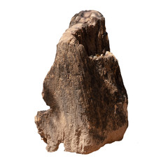 Big stone brown (bogwood) Isolated on the white background.