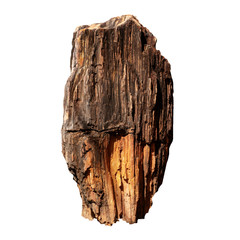 Big stone brown (bogwood) Isolated on the white background.