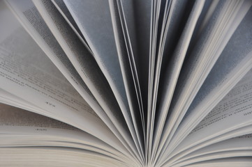 pages of a book
