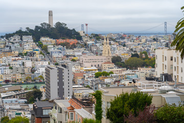 View of Coit Tower and Bay Bridge from Lombard street