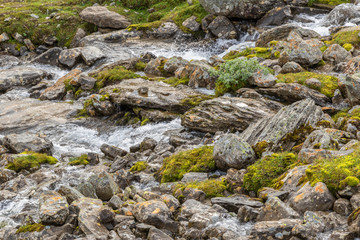 Stream in a block field with flowing water