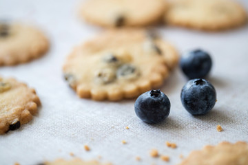 Blueberry shortbread