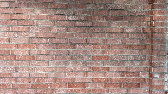 red brick wall background moving shadow