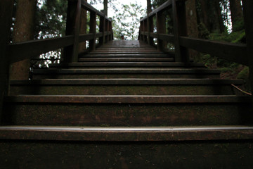 Close up of wooden staircase in Alishan National Forest Recreation Area in Chiayi County, Alishan Township, Taiwan