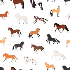 Horse breeding flat vector seamless pattern. Purebreed mares and stallions decorative texture. Thoroughbred racehorses on white background. Equine themed wallpaper, textile cartoon design.