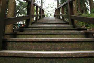 Close up of wooden staircase in Alishan National Forest Recreation Area in Chiayi County, Alishan Township, Taiwan