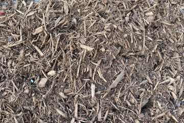 ground cover mulch dry background