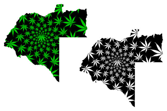 Moxico Province (Provinces of Angola, Republic of Angola) map is designed cannabis leaf green and black, Moshiko map made of marijuana (marihuana,THC) foliage....