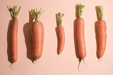 fresh carrots with leaves on light orange background with som