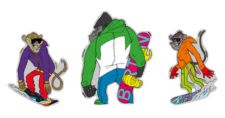 Three monkeys are lovers of winter sports, snowboarding. Color illustrations, stickers, can be used in advertising and sporting goods, souvenirs and posters.